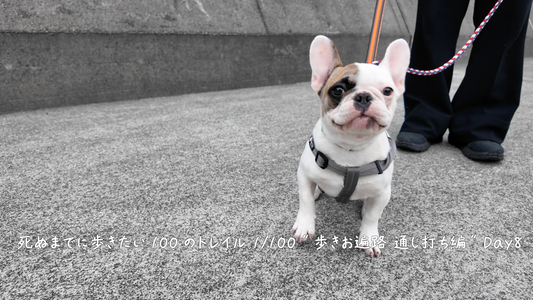 死ぬまでに歩きたい100のトレイル 1/100 ”歩きお遍路 通し打ち編” Day8
