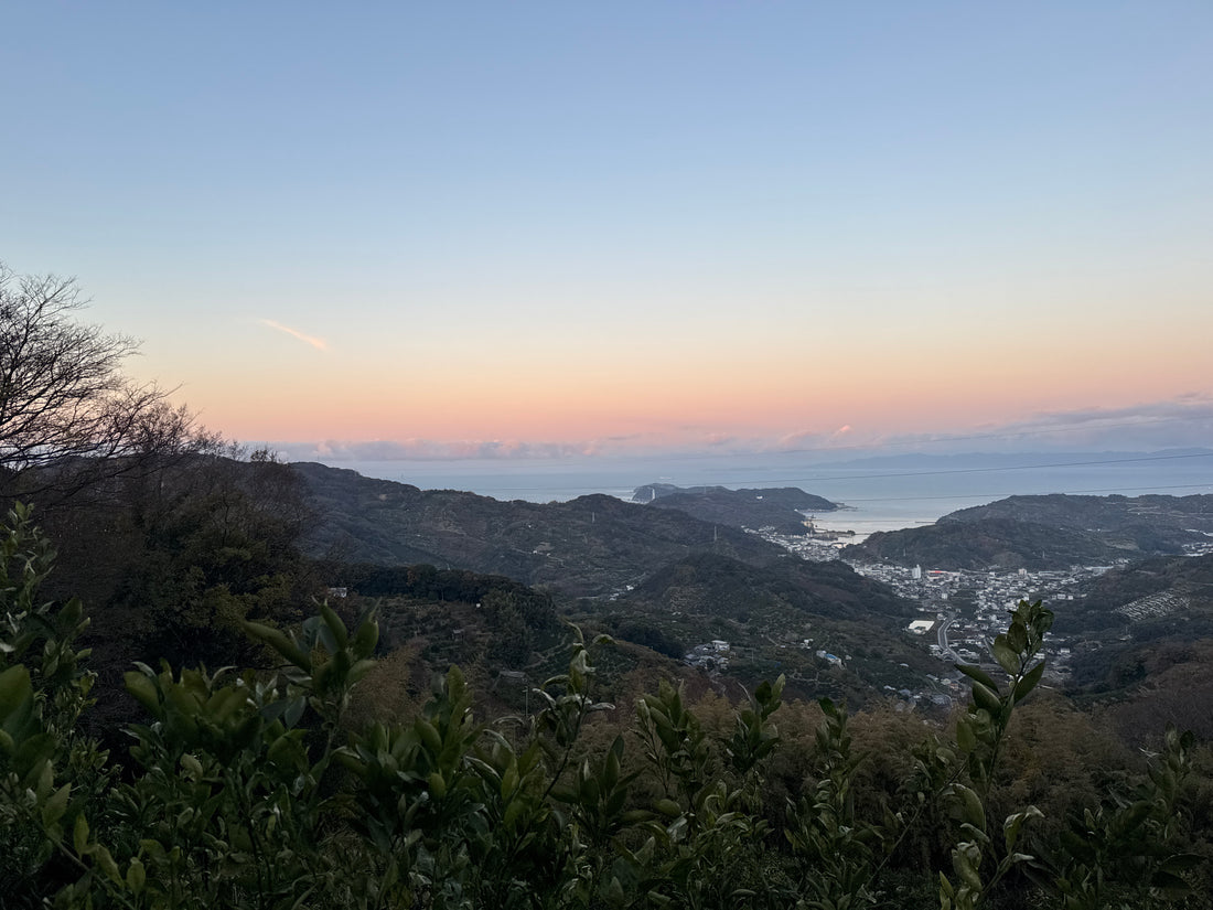 熊野古道　“紀伊路“