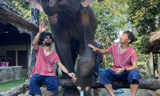 Doi Inthanon Thailand 2022 by UTMB 遠征