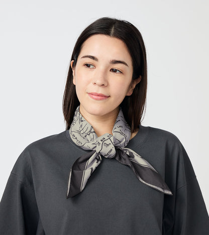 【THE NORTH FACE Purple Label】ノースフェイスパープルレーベル Mountain Field Scarf "2Color" ※ネコポス可