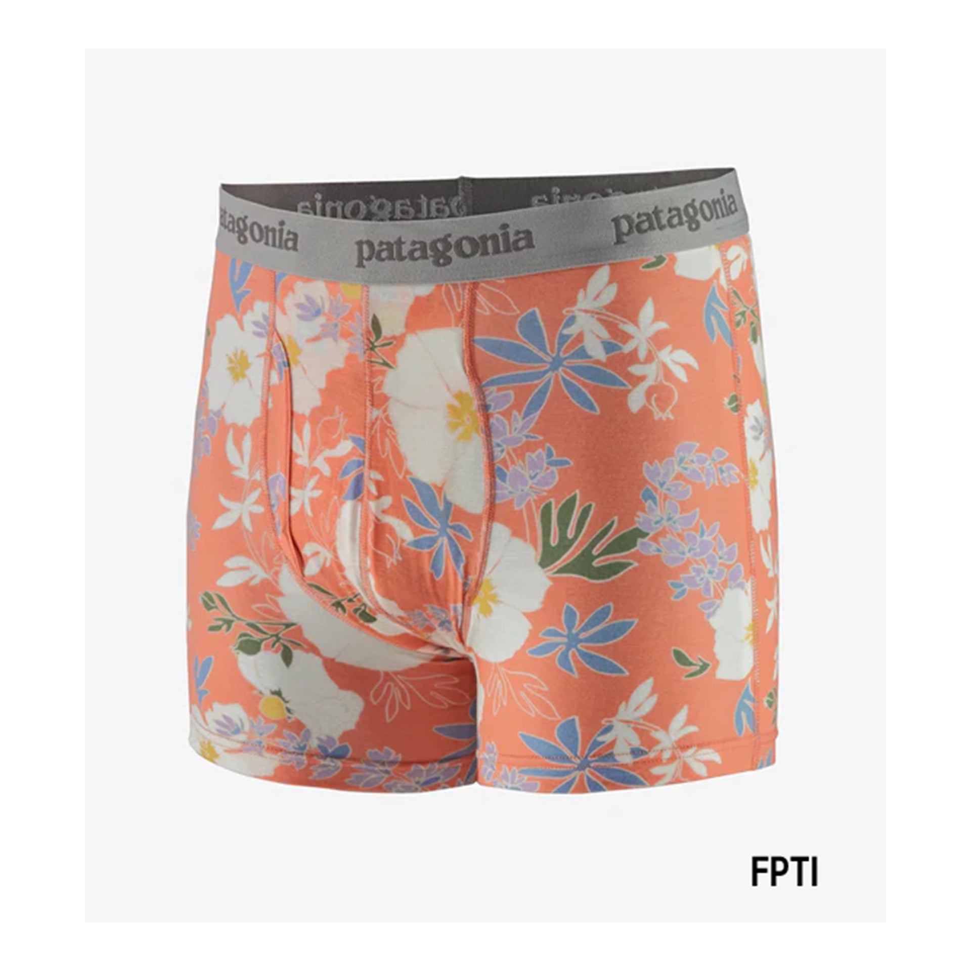 patagonia パタゴニア Essential Boxer Brief 3in – Yosemite