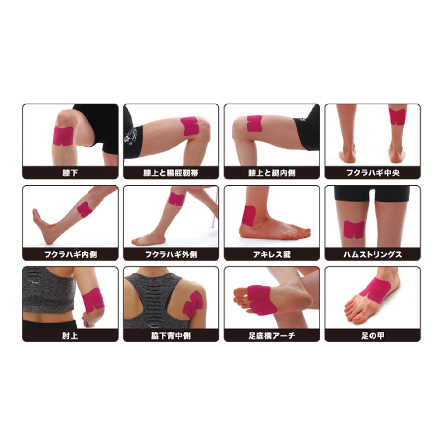 【New-HALE】ニューハレ New-HALE Knee Dash "4Color" ※ネコポス可