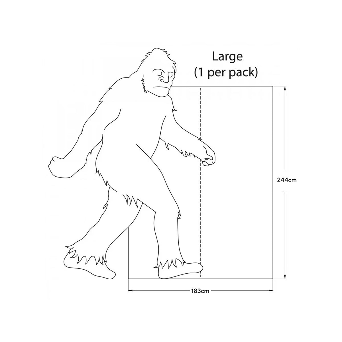 【Gossamer Gear】ゴッサマーギア Polycryo Tent Footprint ※ネコポス可
