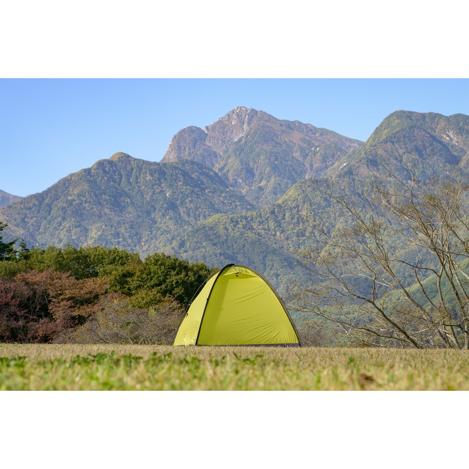 EVERNEW エバニュー Ledge highat / carbon – Yosemite